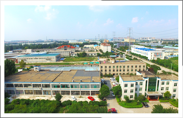 Shandong Dolphinmed Technology Co., Ltd. Shandong Dolphinmed Technology Co., Ltd.